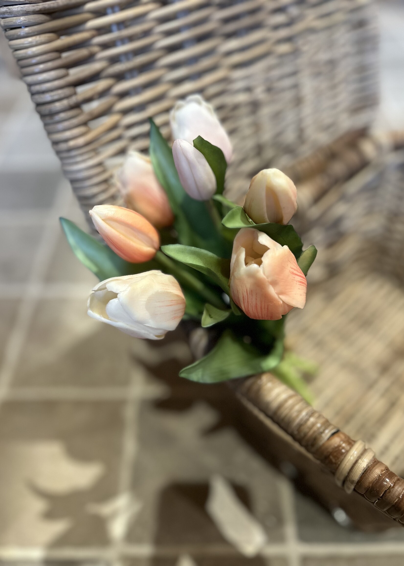 Tulpenbundel zalm 30 cm