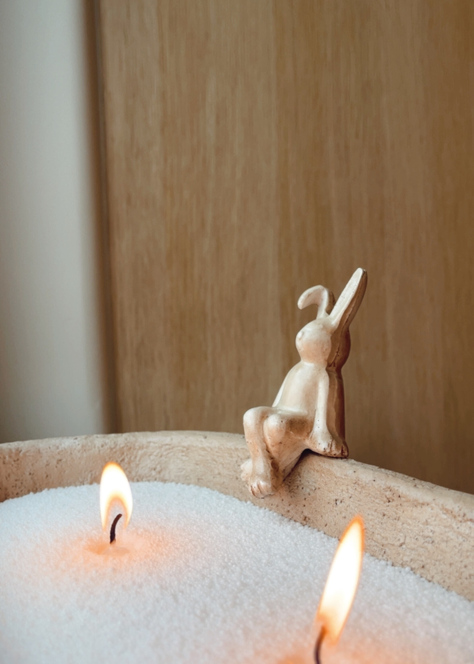 Bunny zittend op rand S