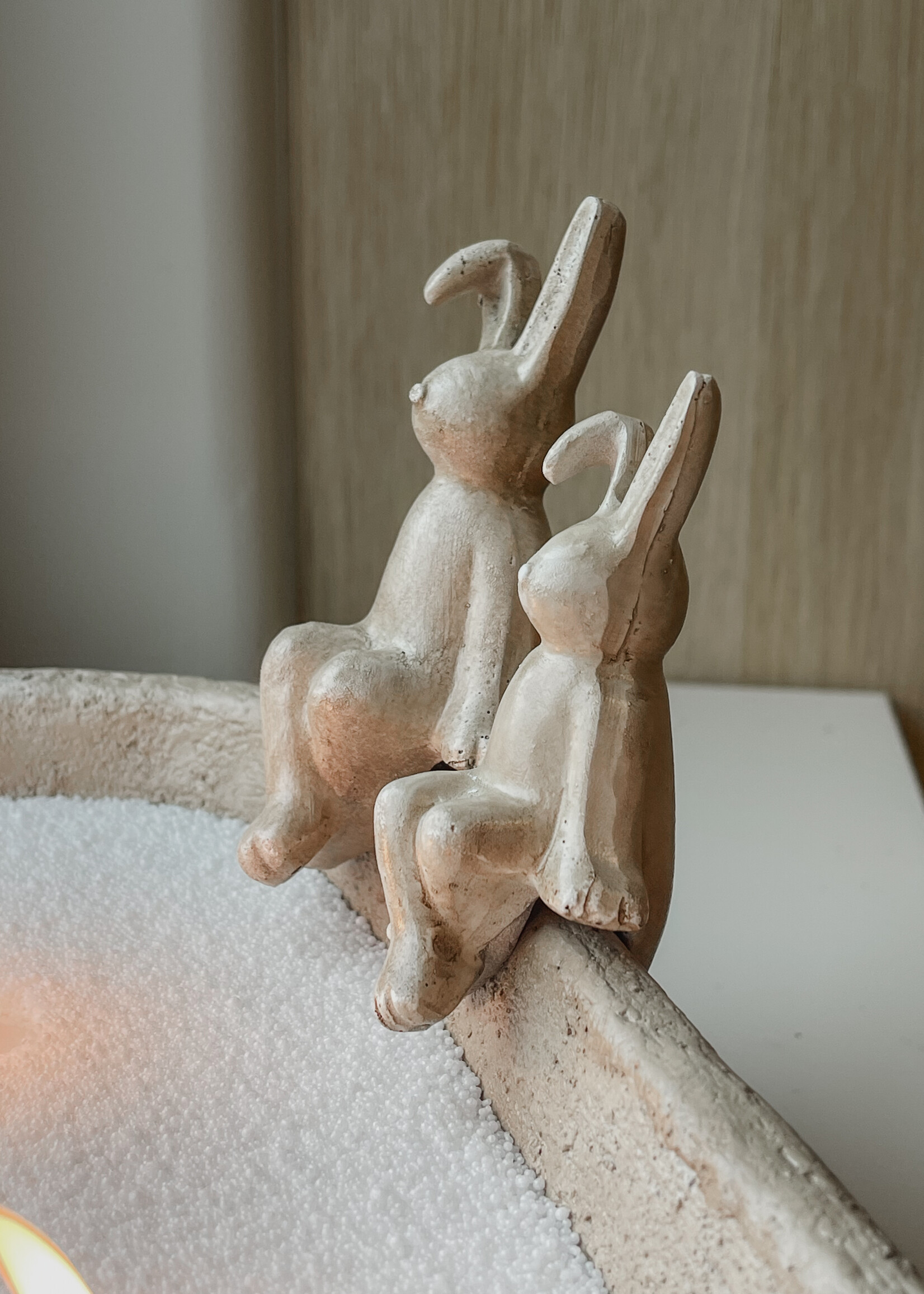 Bunny zittend op rand S