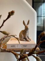 Haas grijs authentiek M