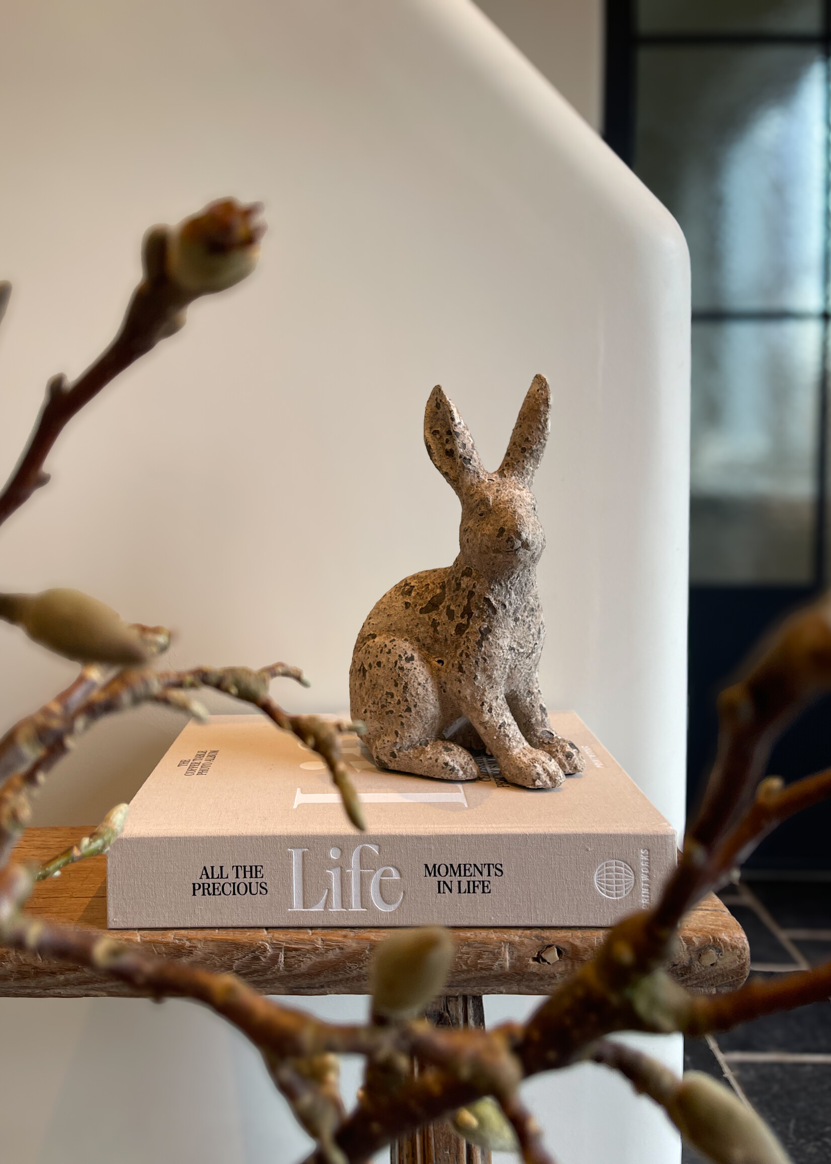 Haas grijs authentiek M