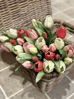 Tulpenbundel roze mix 30 cm