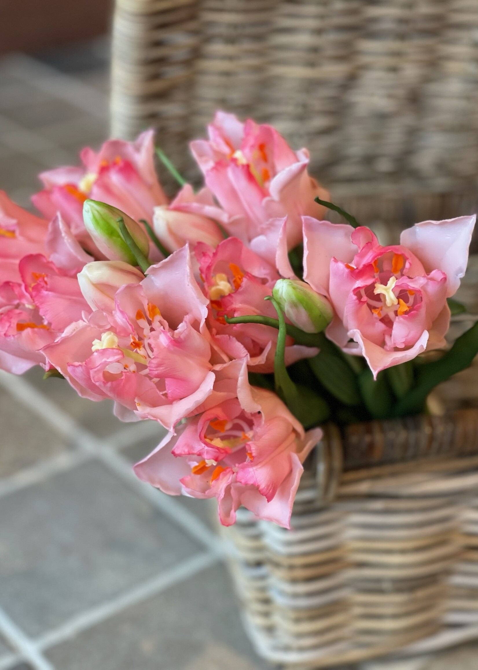 Tulpenbundel open babyroze (5st) 40 cm