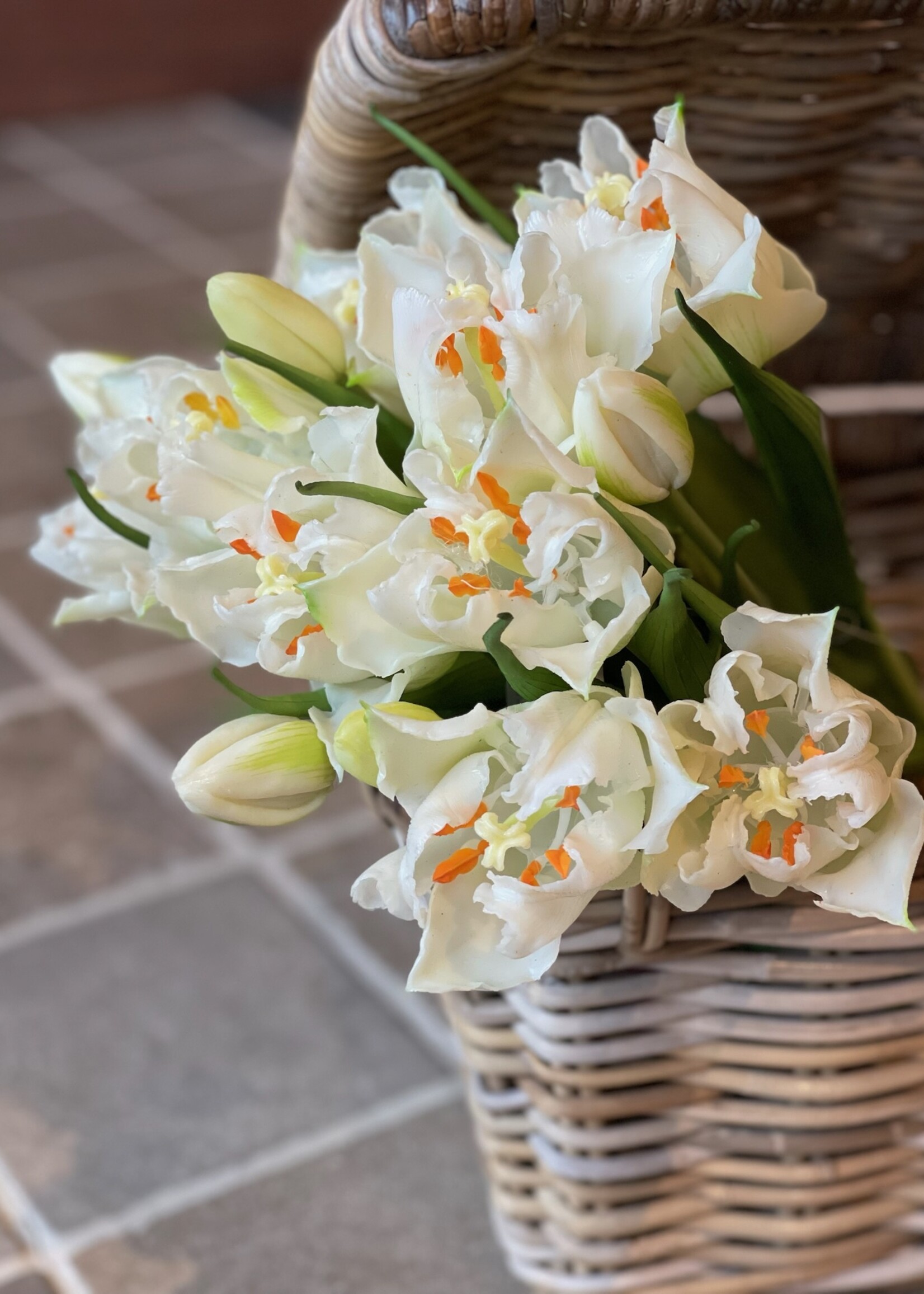 Tulpenbundel open wit (5st) 40 cm