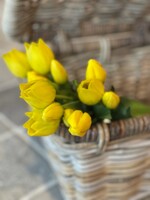 Tulp mini geel (set van 3)