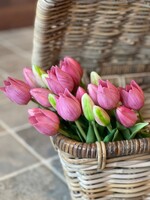 Tulp mini mauve (set van 3)