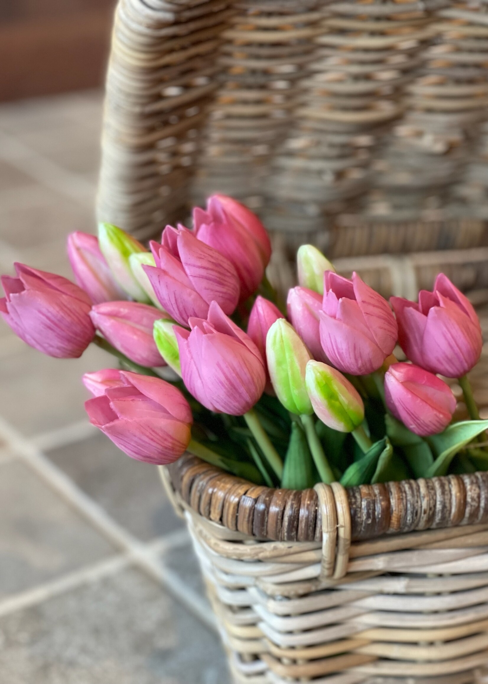 Tulp mini mauve (set van 3)