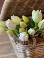 Tulp mini wit (set van 3)