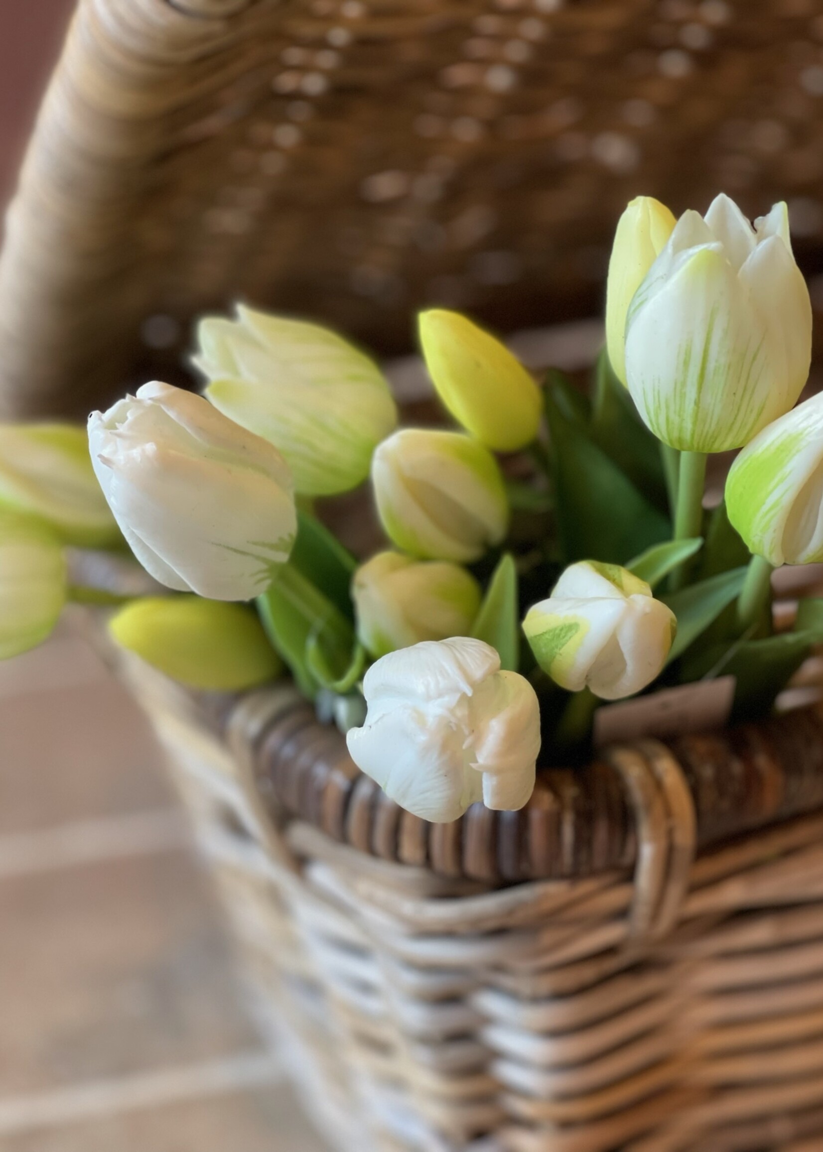 Tulp mini wit (set van 3)