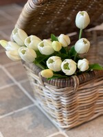 Tulp 36 cm wit (5st)
