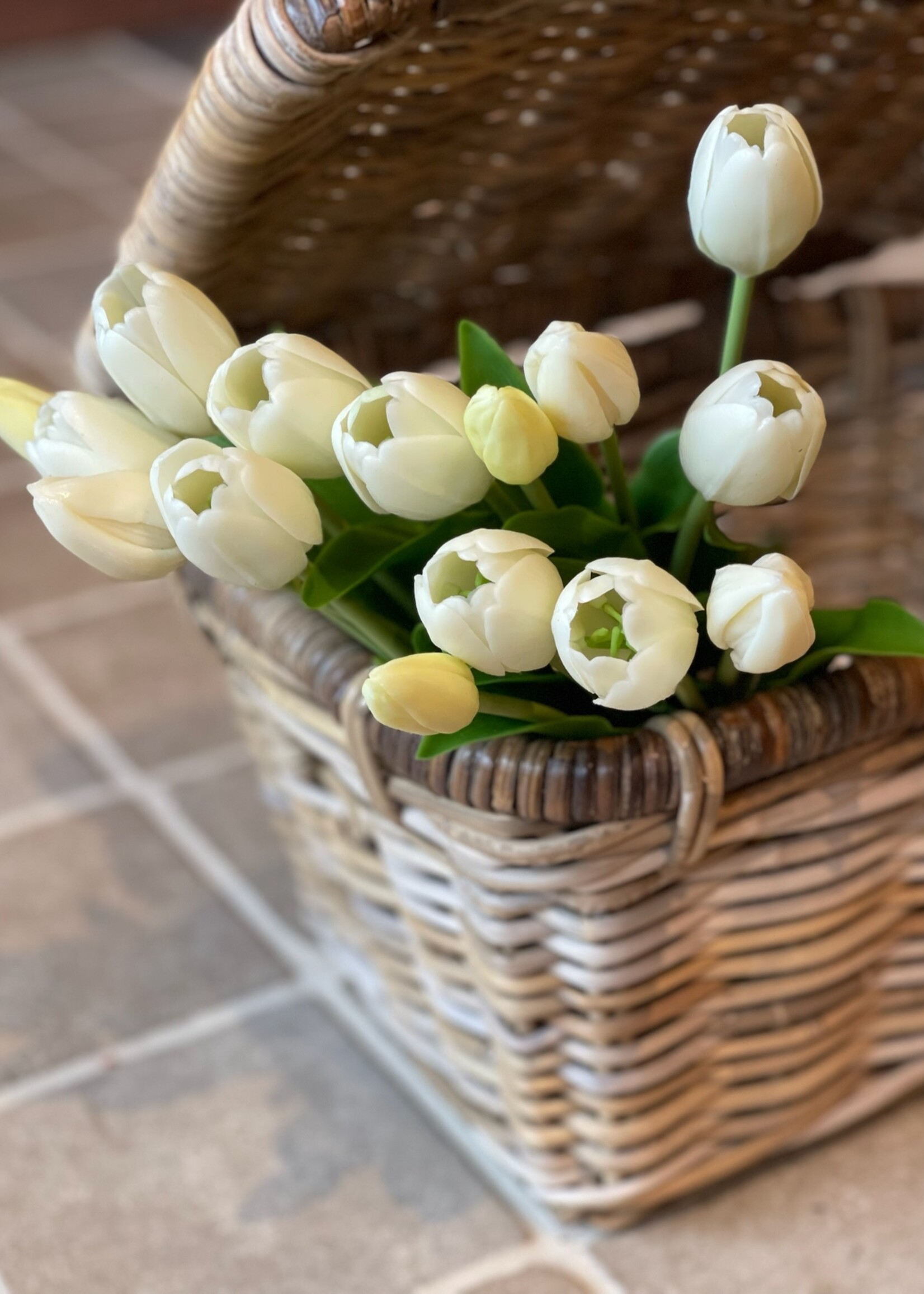 Tulp 36 cm wit (5st)