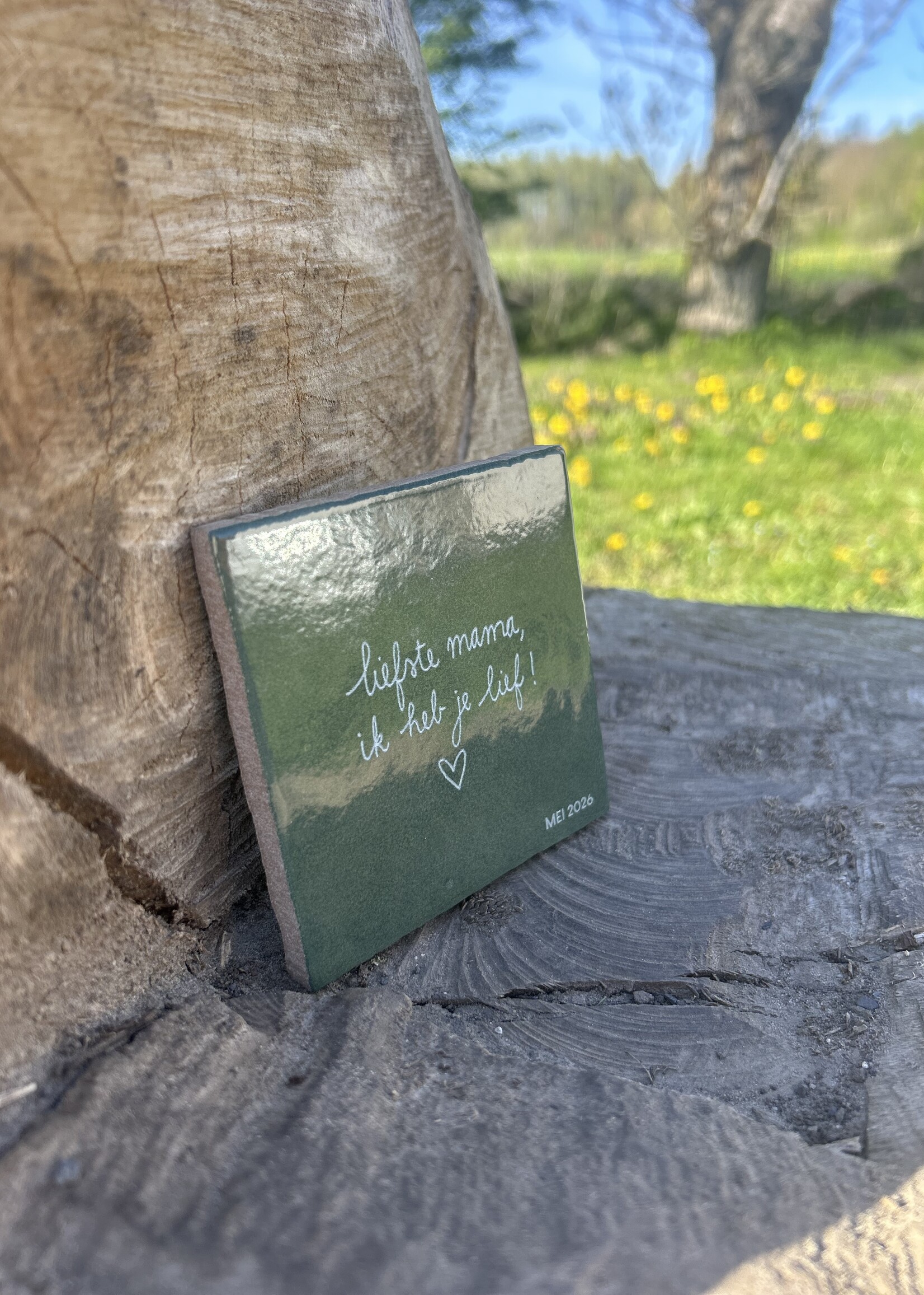 Gepersonaliseerd tegeltje - Moederdag