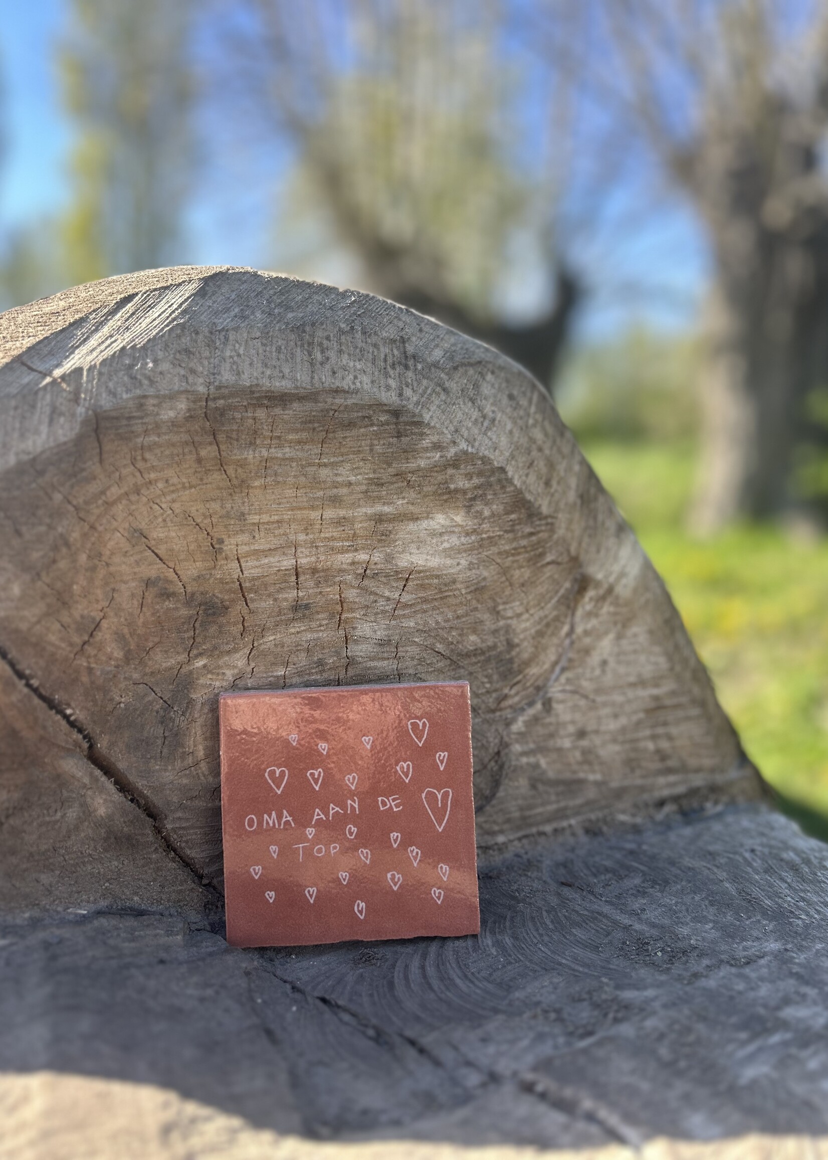 Gepersonaliseerd tegeltje - Moederdag