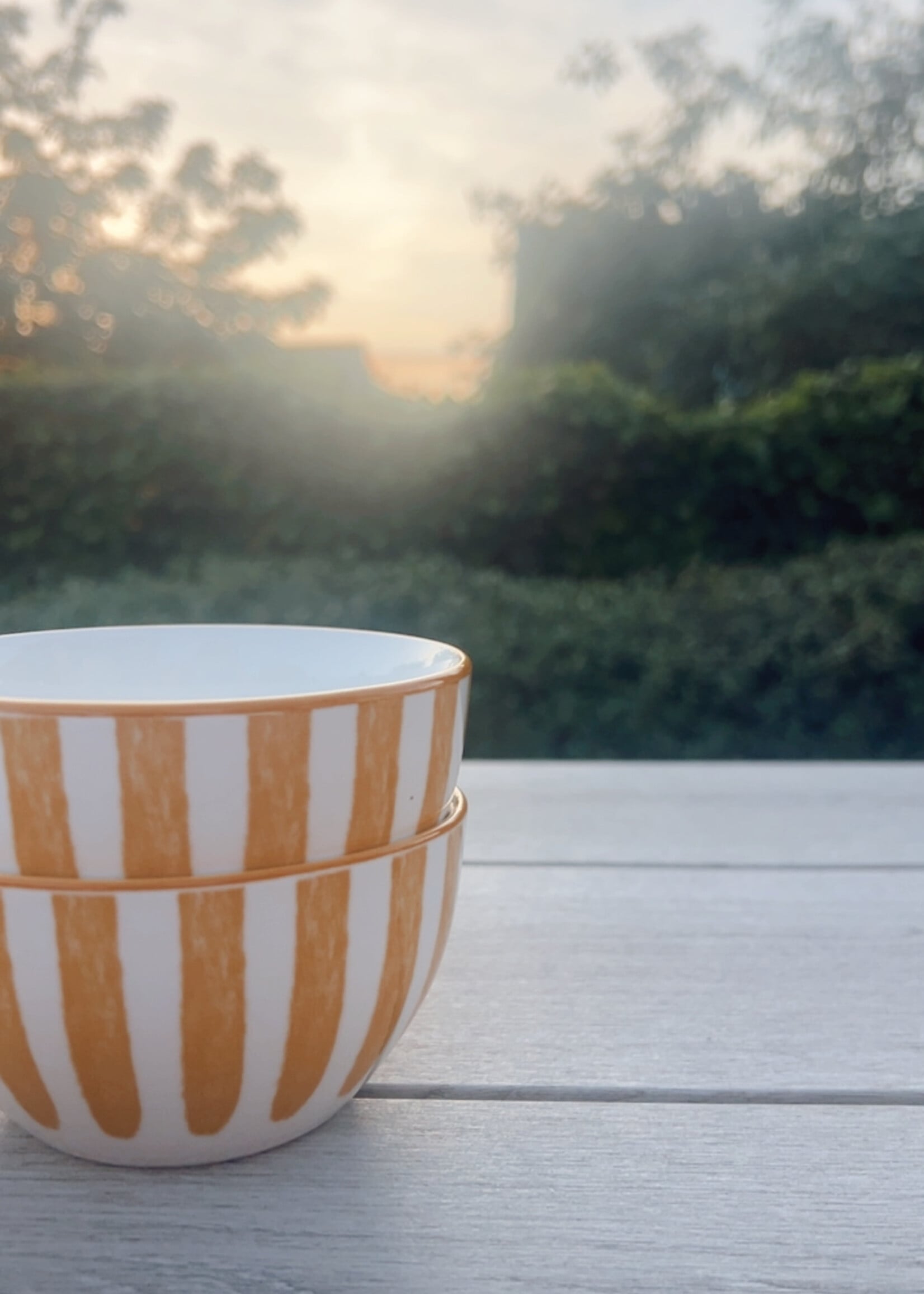 Zomerse kom gestreept 'orange'