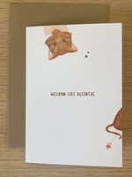 Dubbele wenskaart 'Welkom lief kleintje'