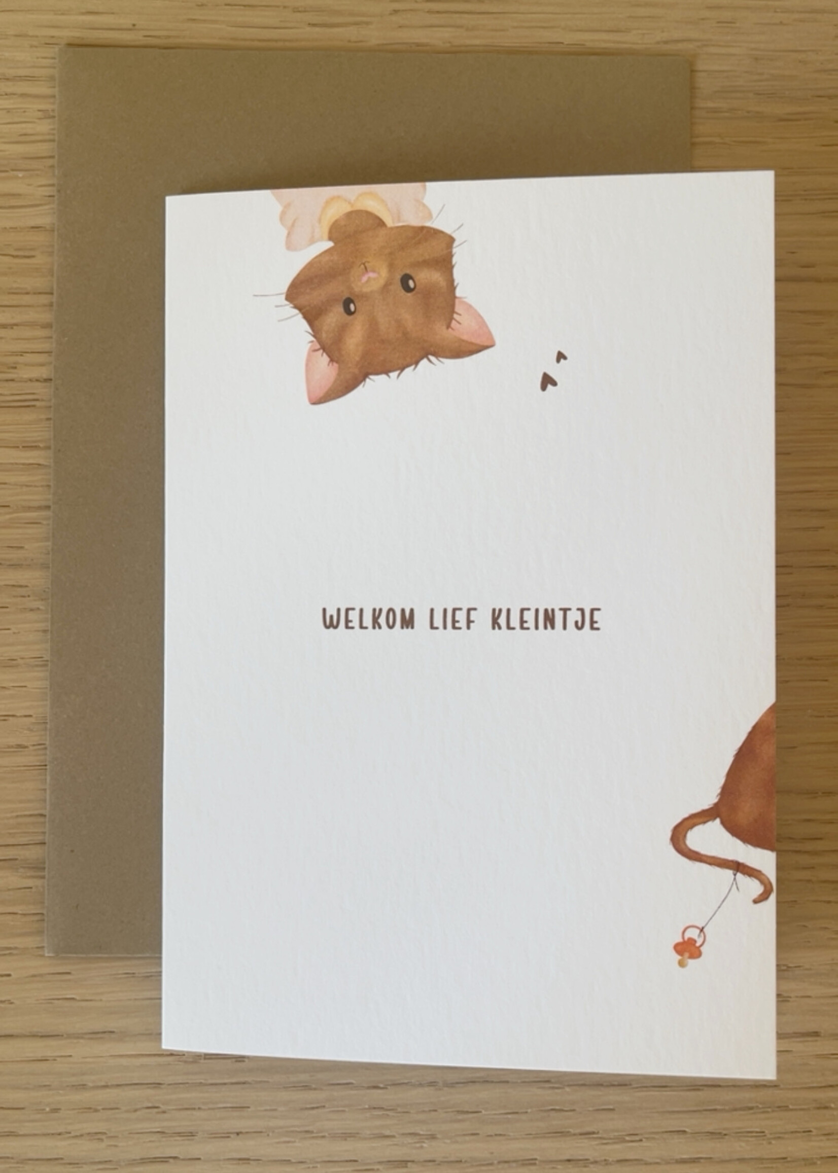 Dubbele wenskaart 'Welkom lief kleintje'
