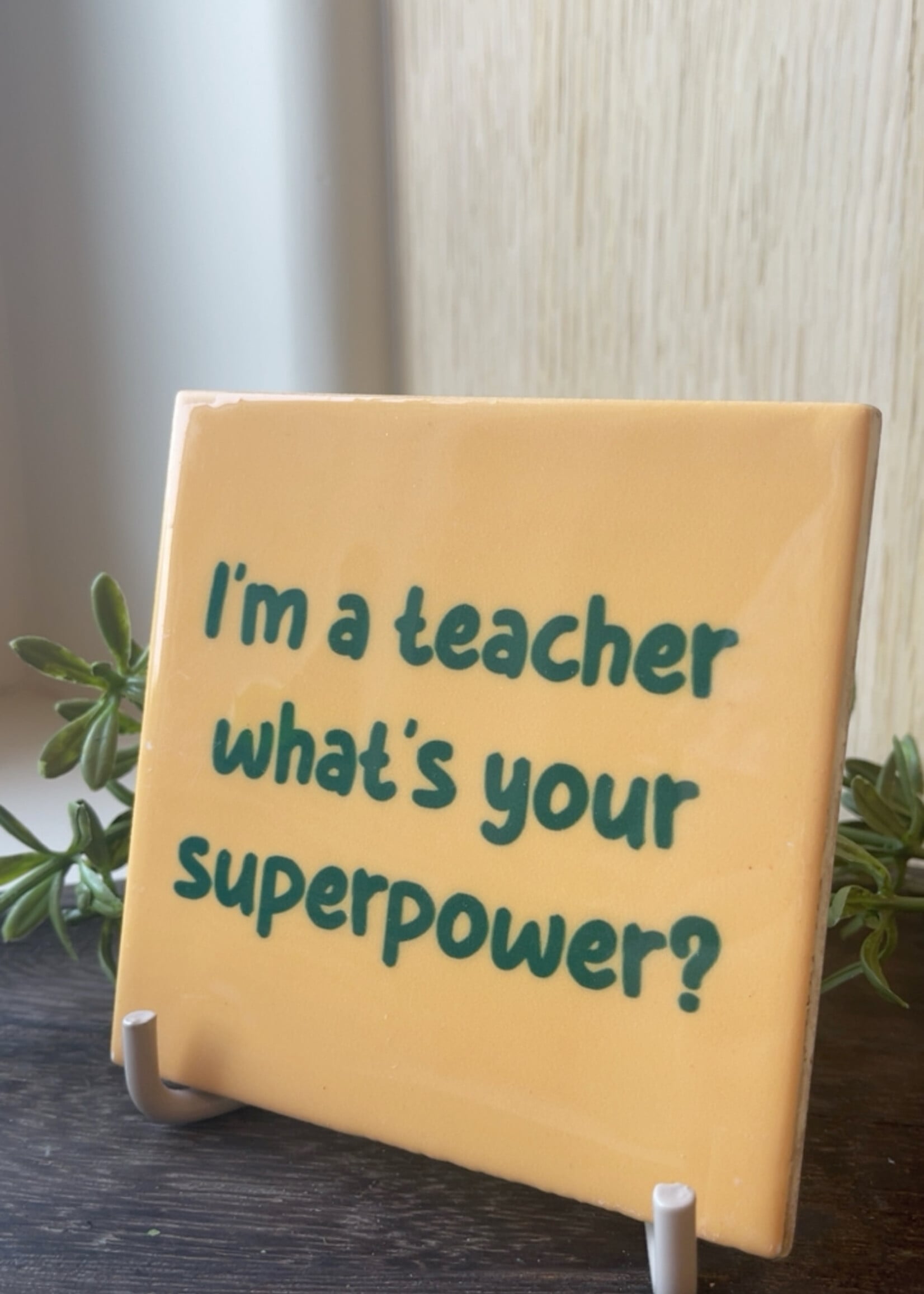 Tegeltje 'teacher'