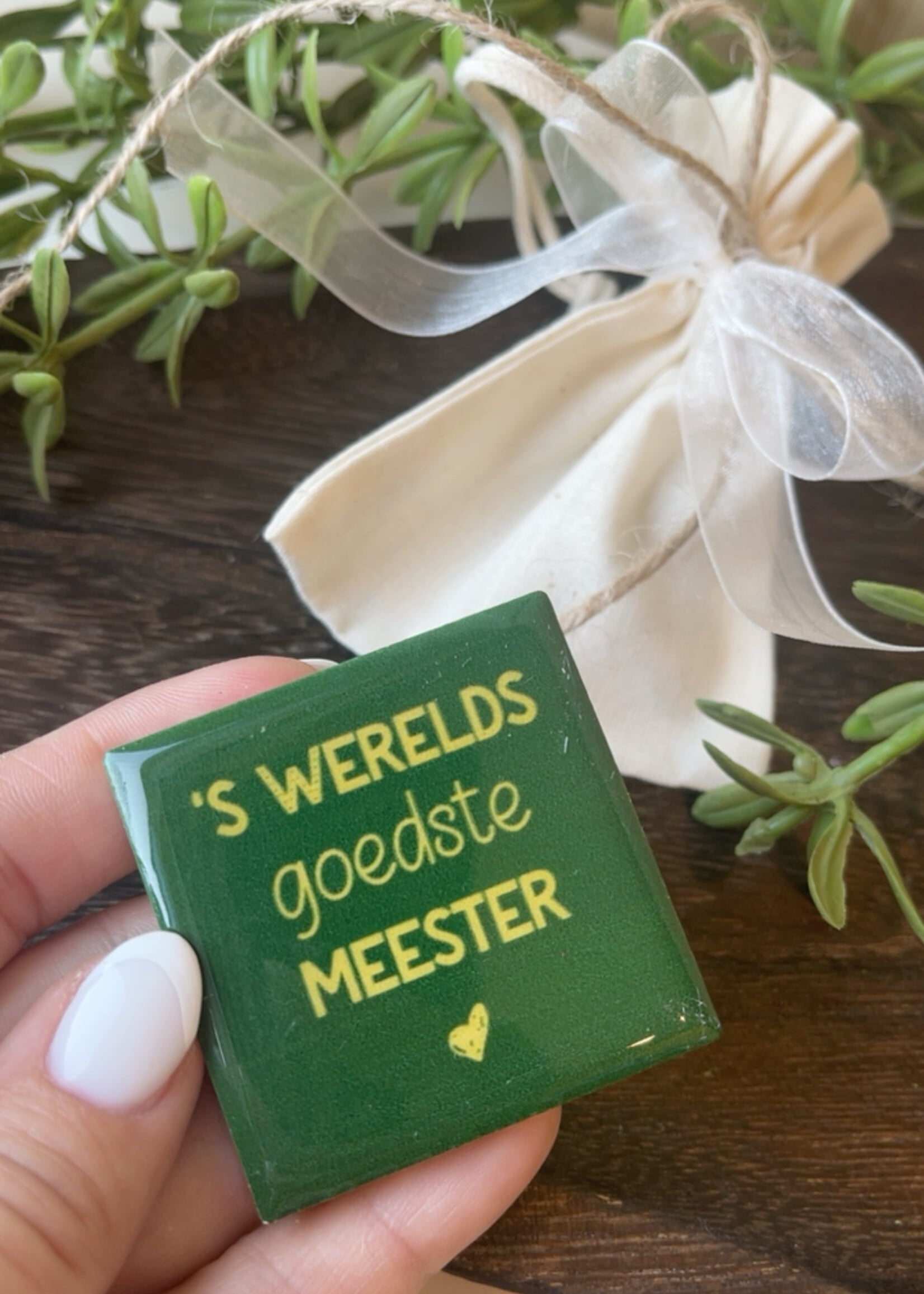 Magneettegeltje 'meester'