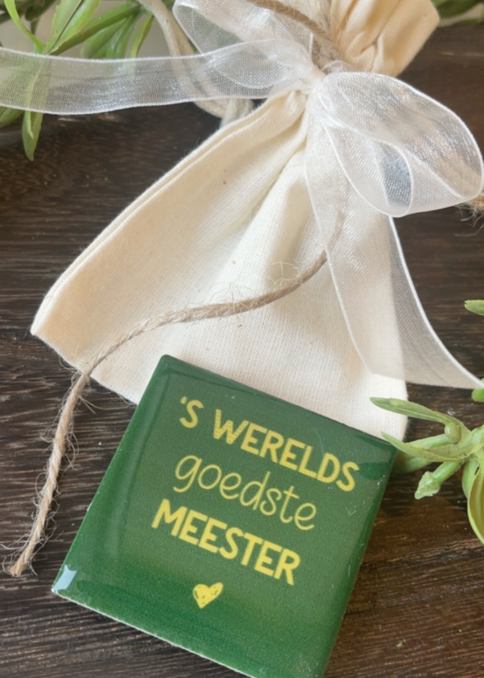 Magneettegeltje 'meester'