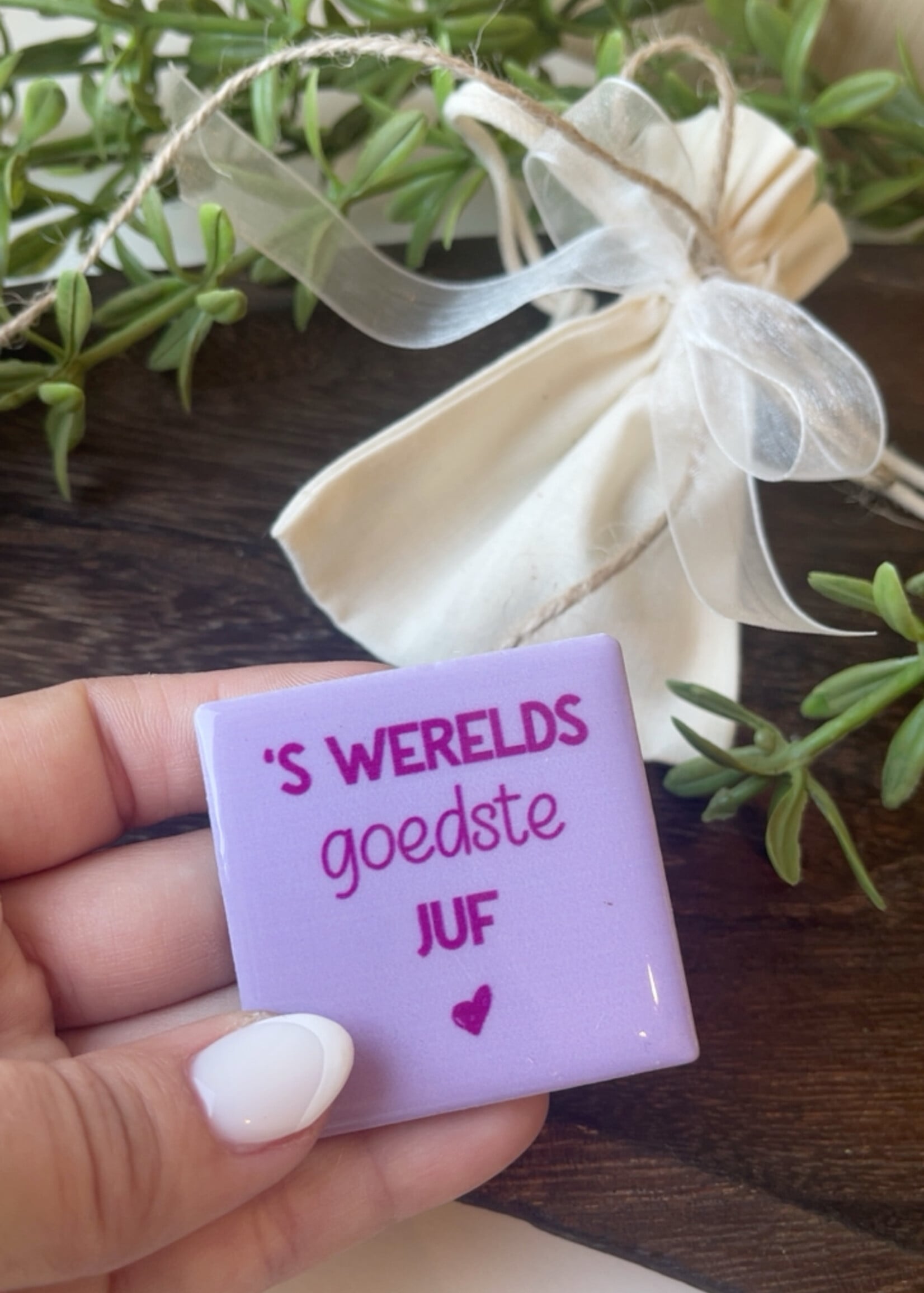 Magneettegeltje 'juf'