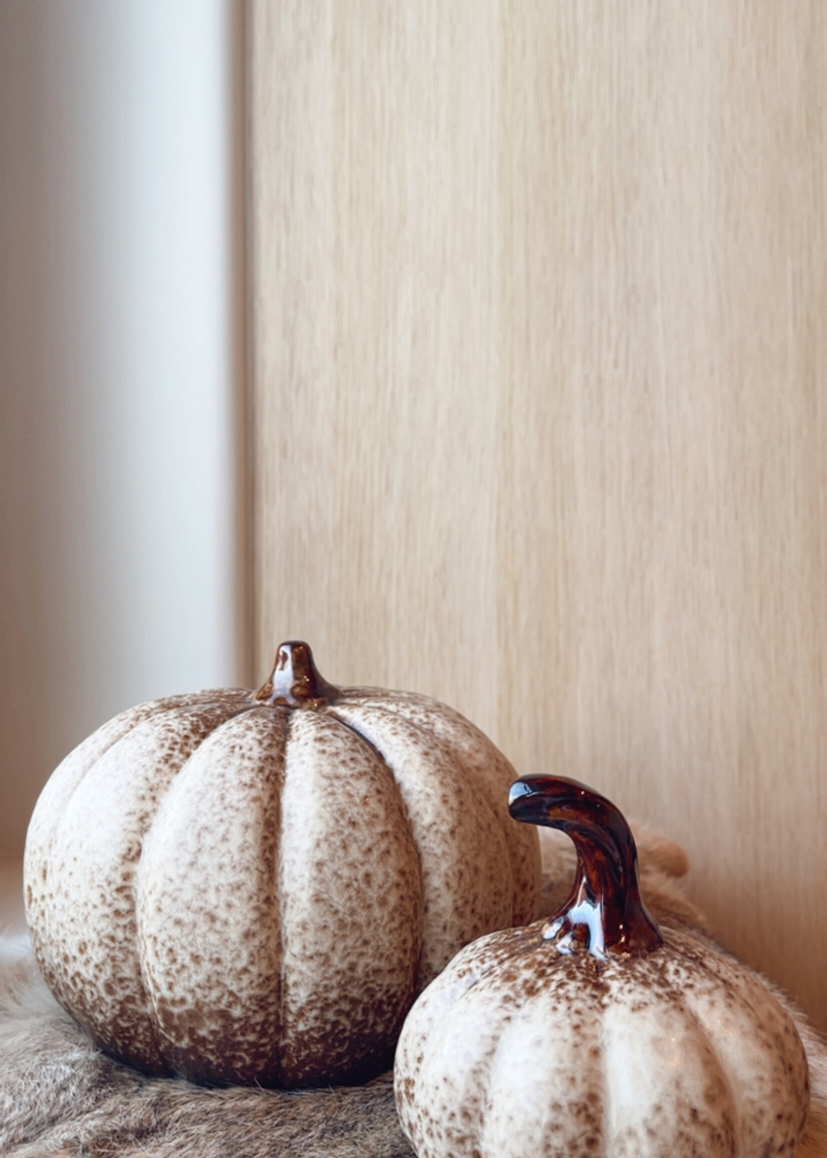 Pompoen bol plat beige/bruin L