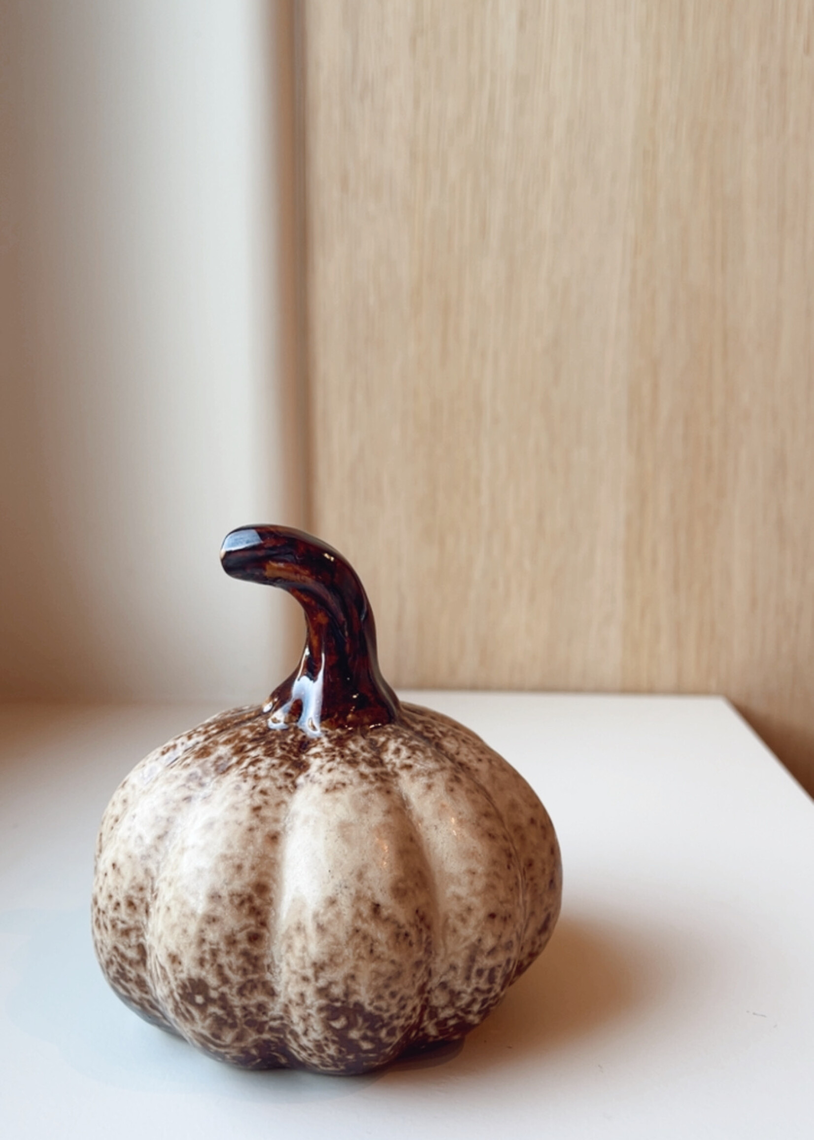 Pompoen bol plat steel beige/bruin S