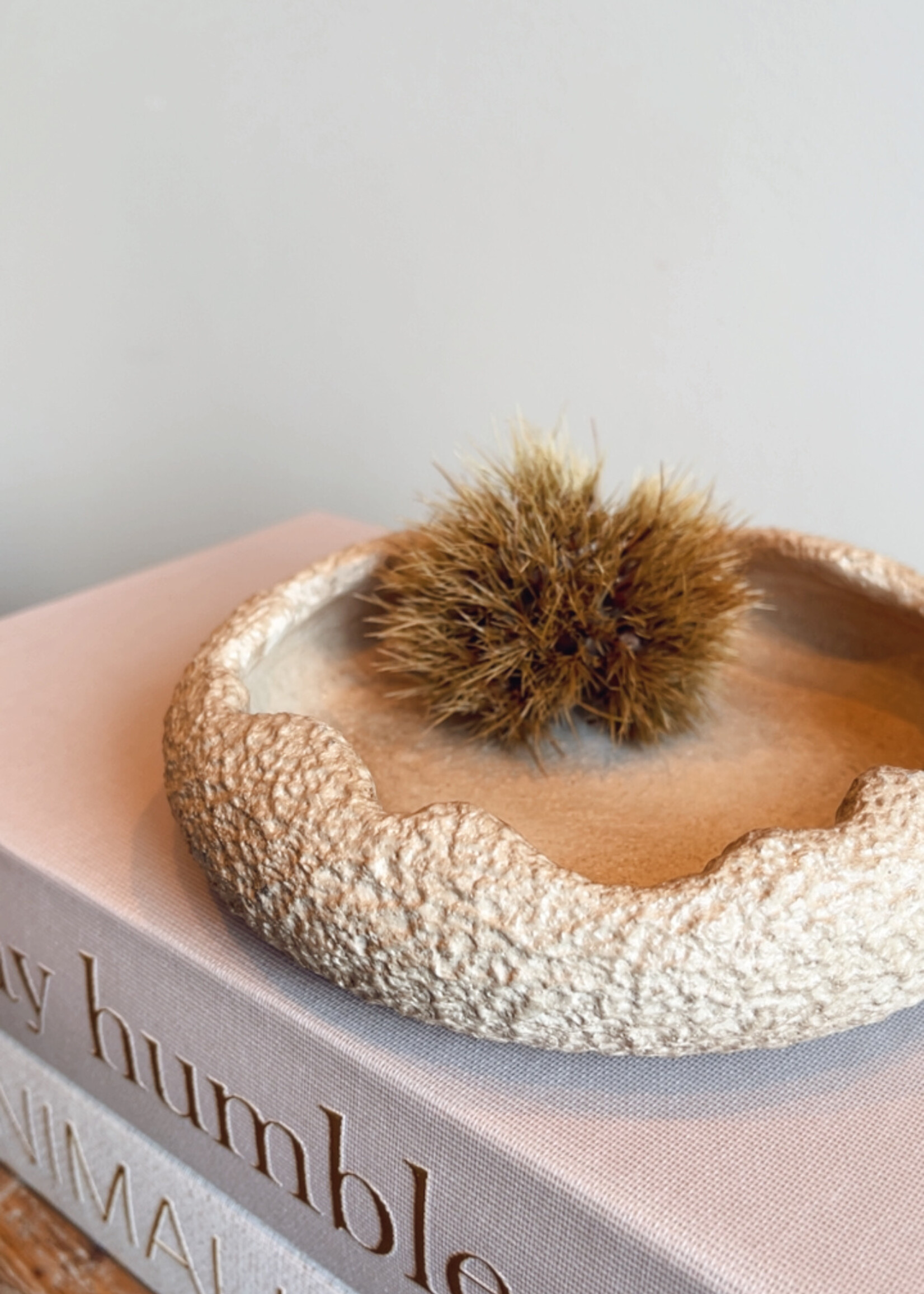 Opbergboek 'stay humble' 26 x 17 cm
