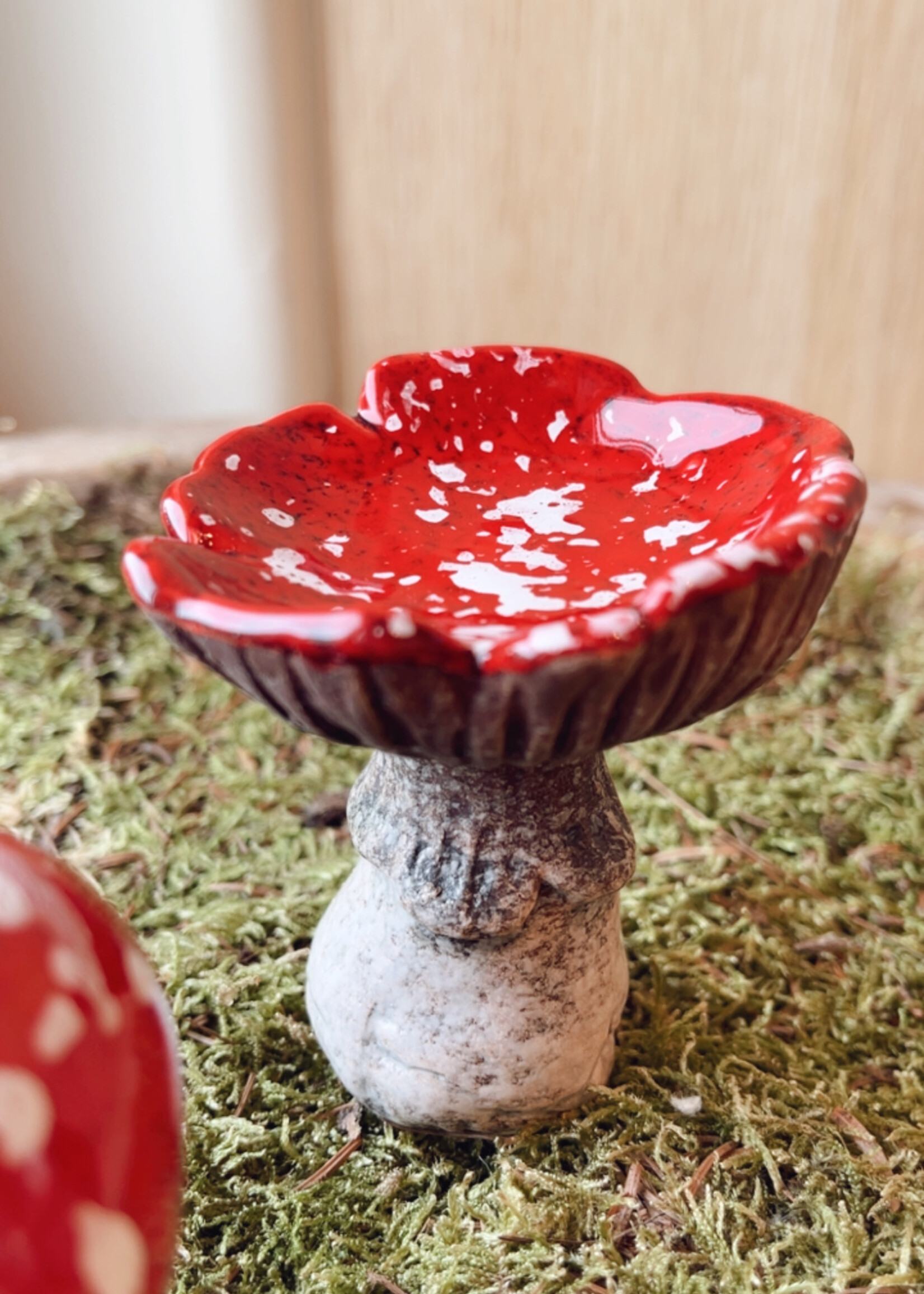 Paddenstoel rode stip
