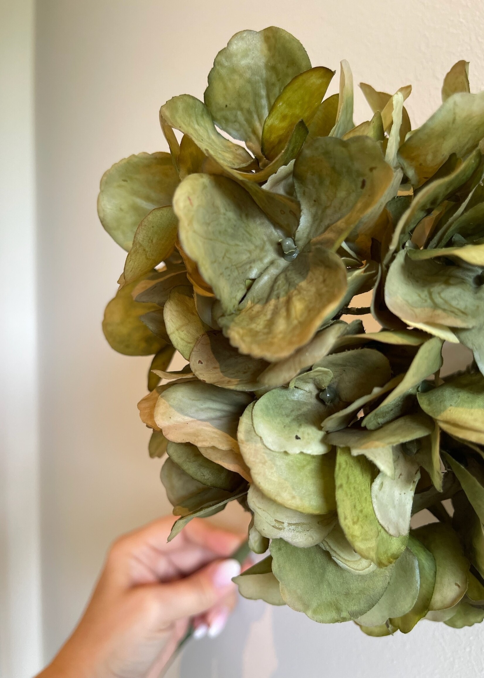 Hortensia 'green' real touch