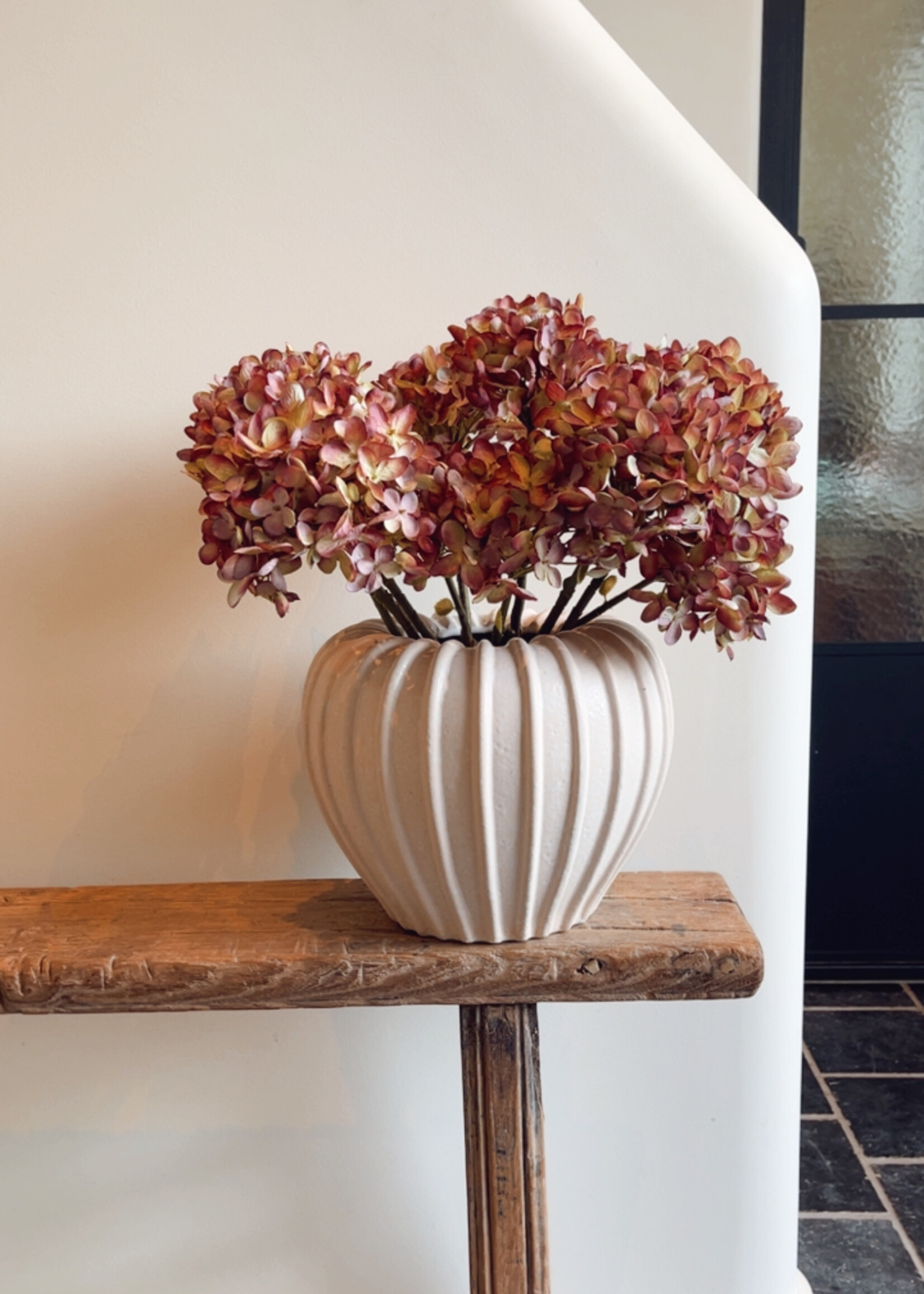 Hortensia 'mauve'