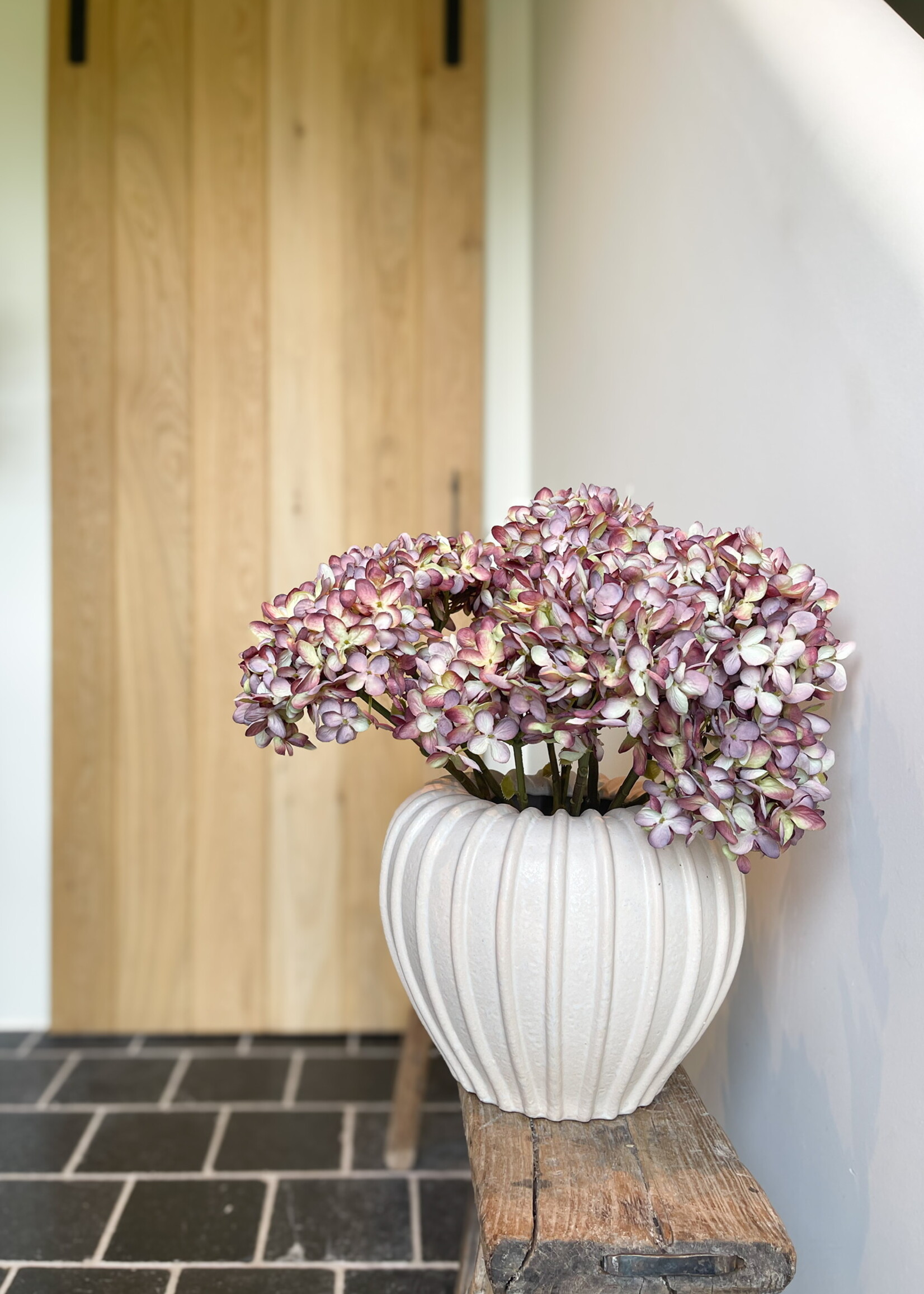 Hortensia 'mauve'