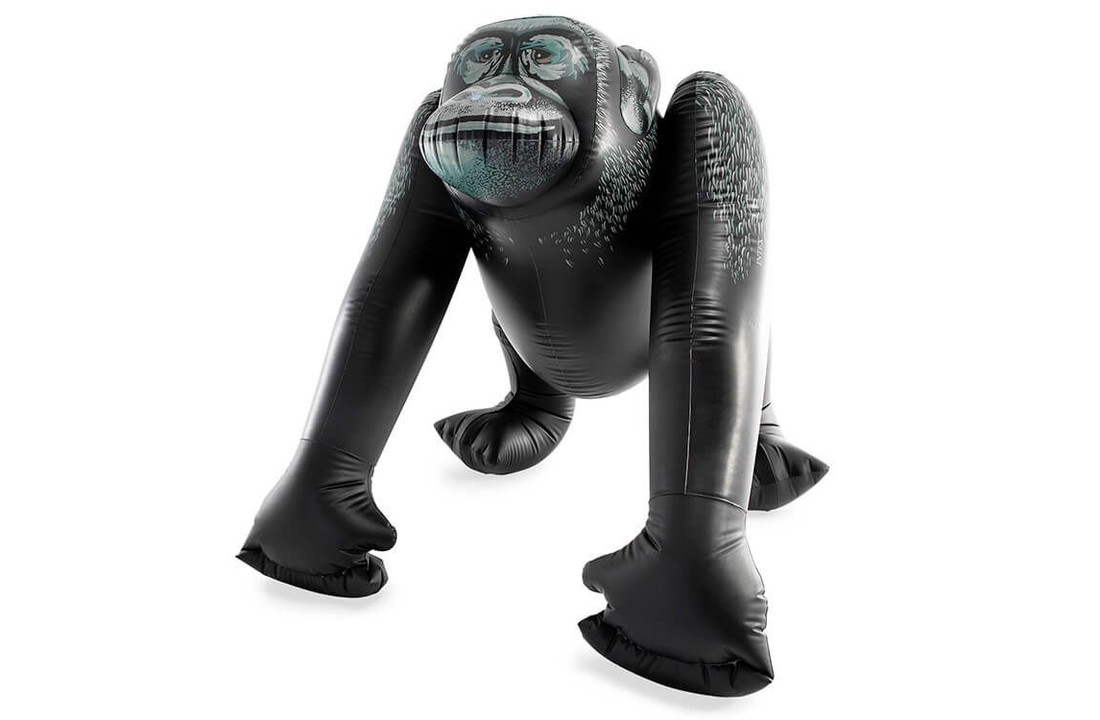 Intex Gorilla Watersproeier
