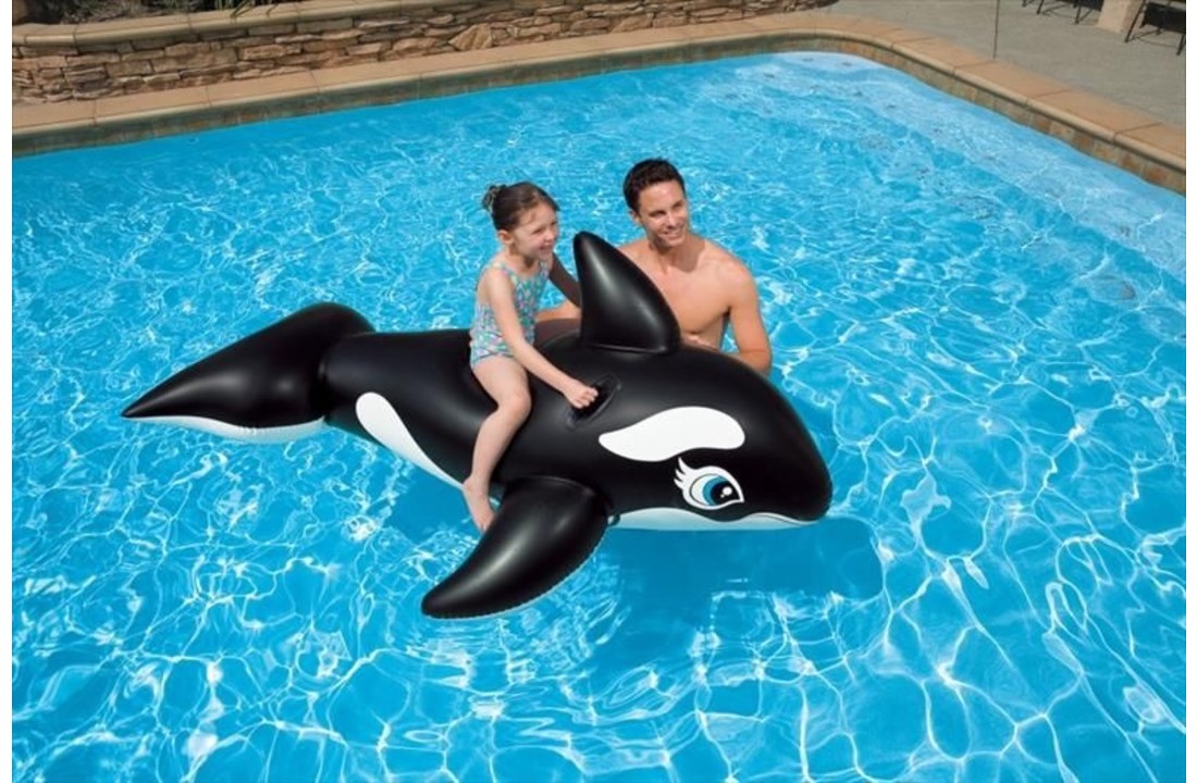 Opblaasbare walvis groot model