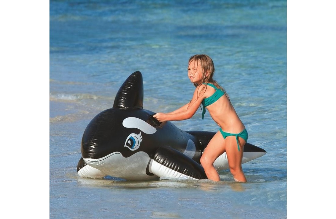 Opblaasbare walvis groot model