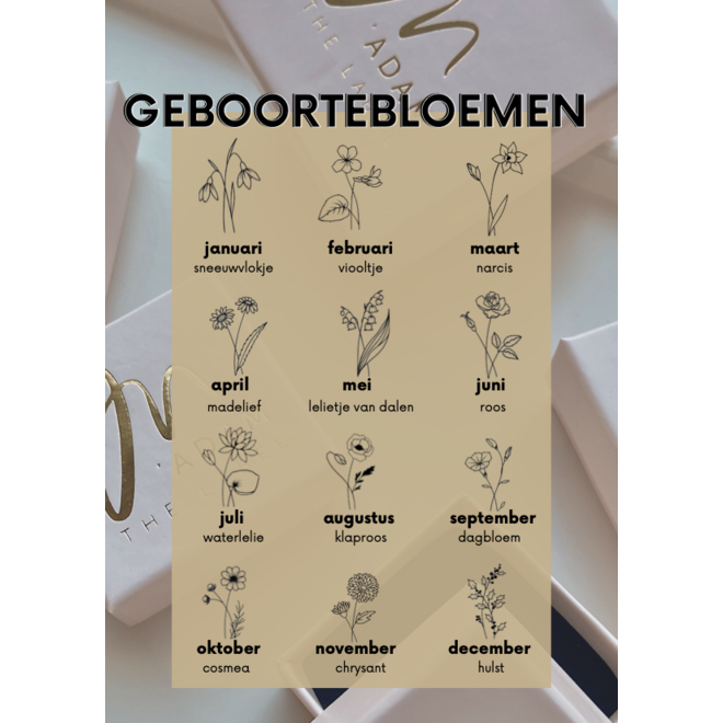 Gepersonaliseerde geboortebloem ketting zilver | 2 bedels