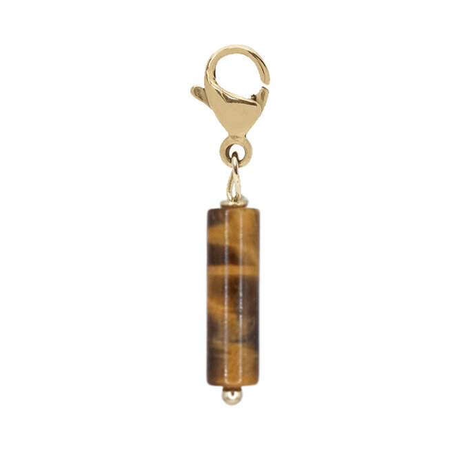 Charm tube tijgeroog goud