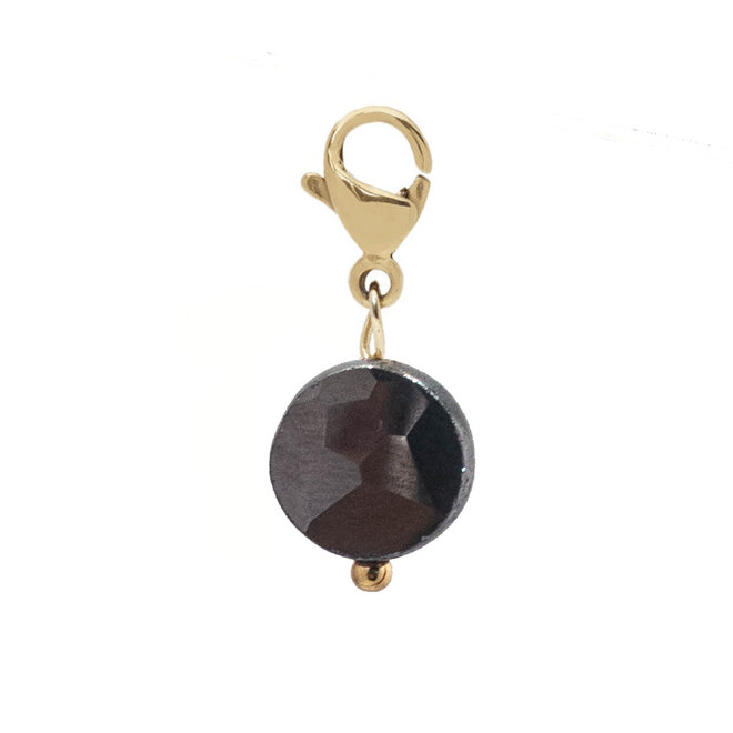 Charm facet plat terraheart (disco) goud