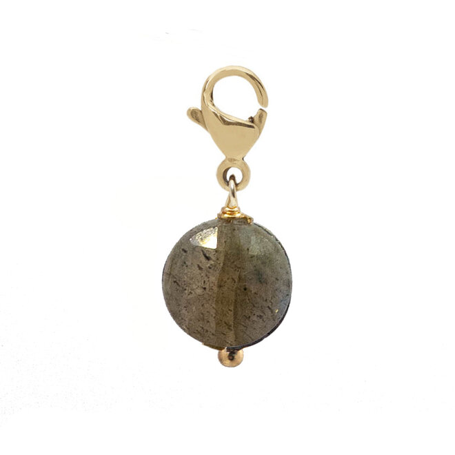 Charm facet plat labradoriet goud