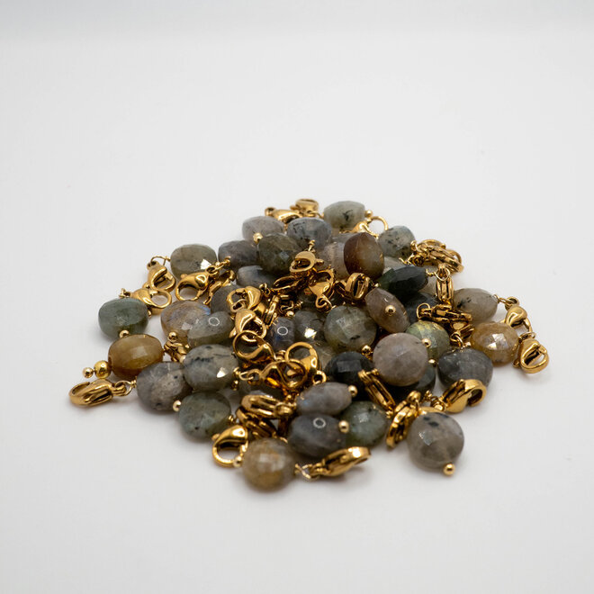 Charm facet plat labradoriet goud