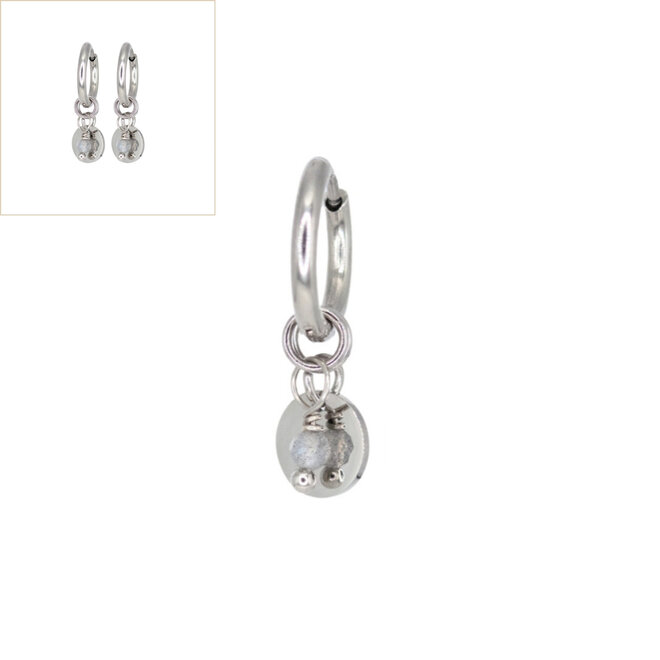 Oorringen coin labradoriet zilver