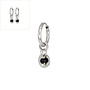 Oorringen coin onyx zilver