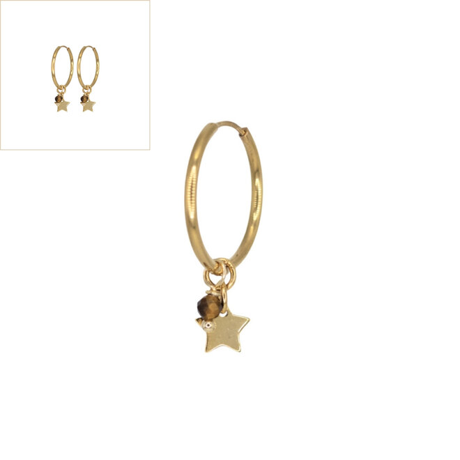 Oorringen star tijgeroog goud