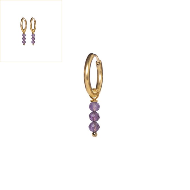 Oorringen februari (amethist)