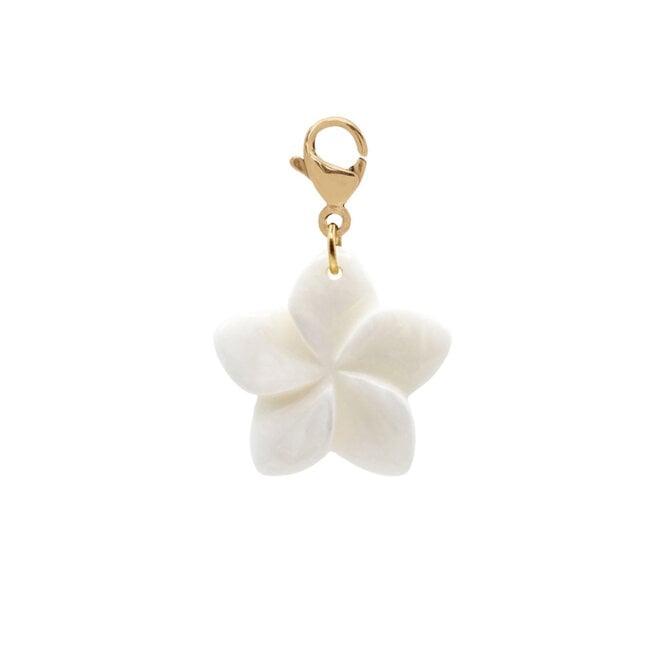 charm flower shell goud