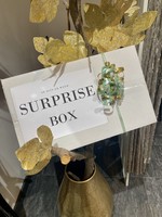 Surprise Box 10 Stuks (populair)