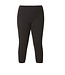 Base Level Curvy Base Level Curvy Audrey Legging (+ colors)