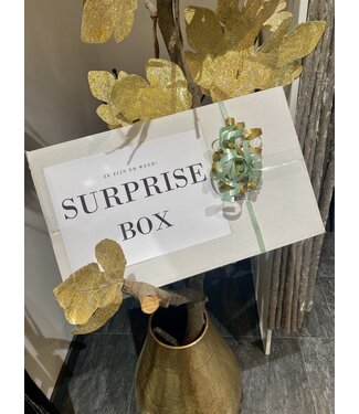 Surprise Box 5 stuks