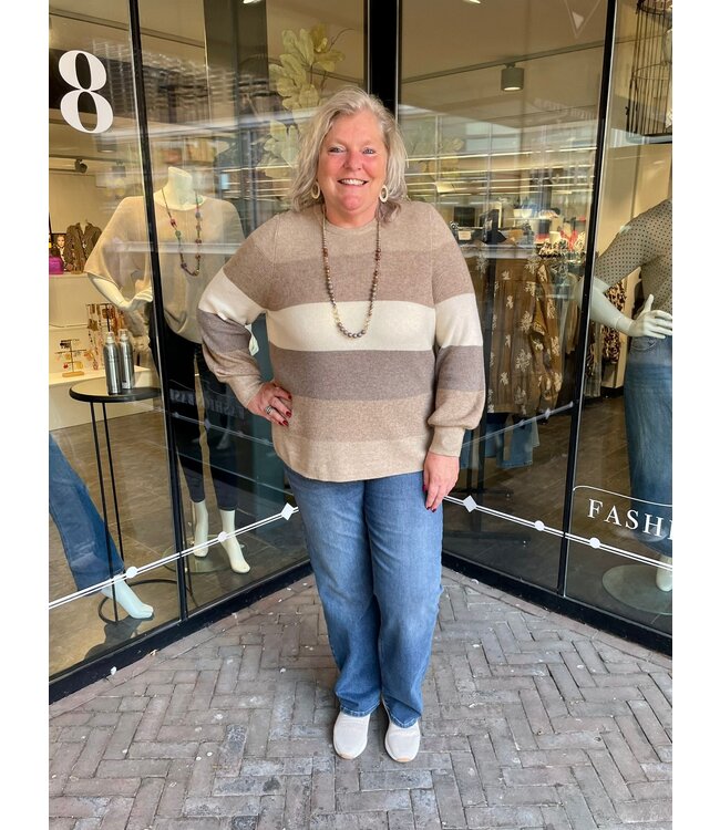 Only Carmakoma Daria Stripe Pullover