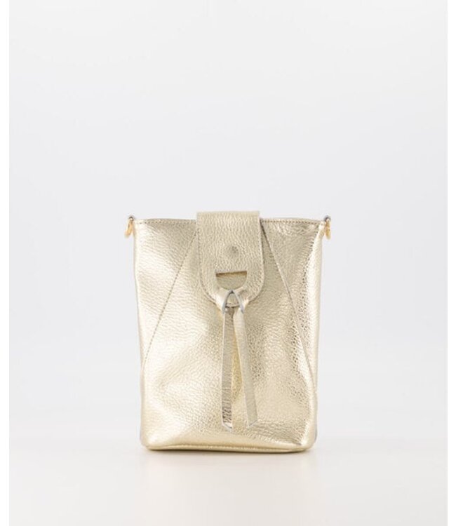 Kendra Bag Gold Fashion