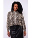 Exxcellent Ella Top Olive